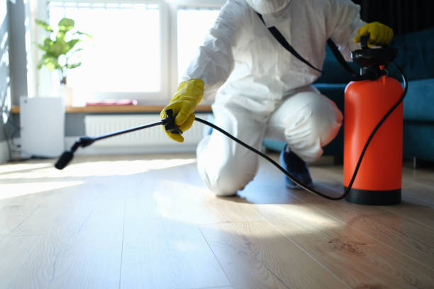 Reliable Hoarding Cleanup contractor in Wyoming, IL by Dulley Family Biohazard Services